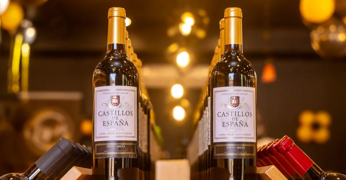 Guía Completa para Disfrutar de la Ruta del Vino en España