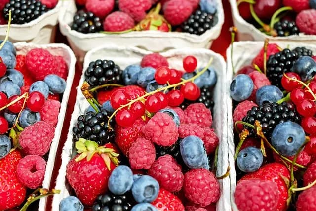 10 Consejos Clave para Disfrutar de la Gastronomía Española
