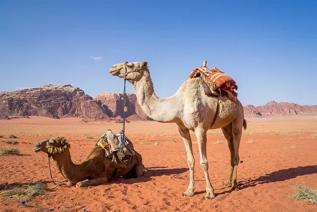 Descubre los Mejores Destinos para Viajar en España