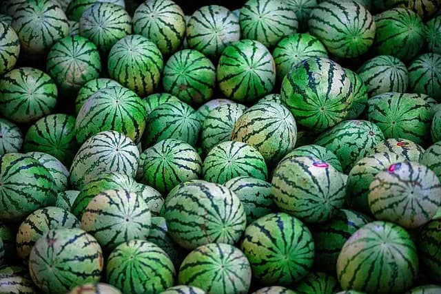 Los Mejores Mercados Gastronómicos que Debes Visitar en España