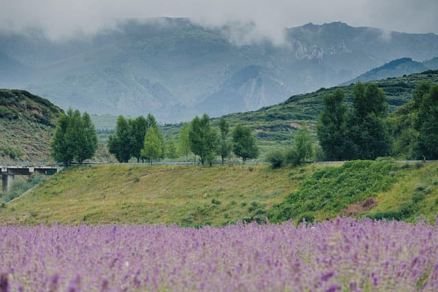 Las Tendencias Más Populares en Turismo en España 2026