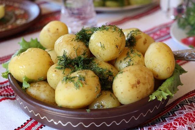 Guía Completa para Disfrutar de la Gastronomía Española